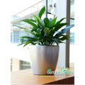 container home round plastic pots silver planter pots commercial planters pots